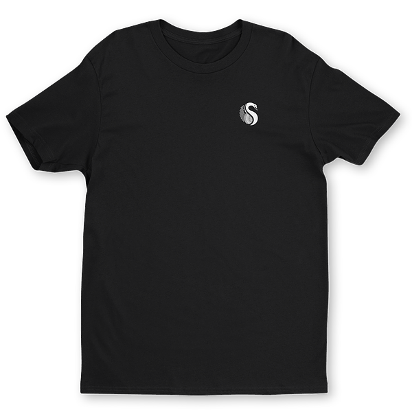 Big and tall t-shirts