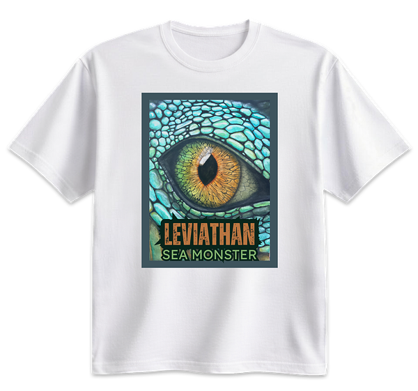 Heavyweight t-shirts