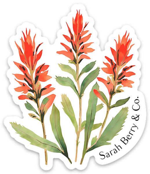 Die cut stickers