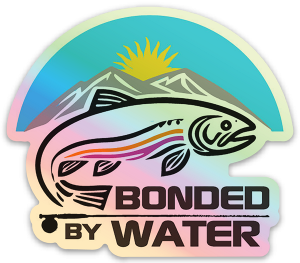 Holographic stickers