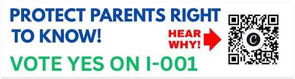 Stickers para parachoques