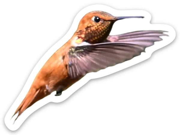 Stickers découpés à la forme