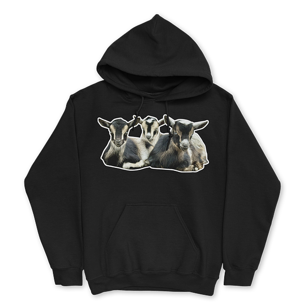 Sudaderas personalizadas