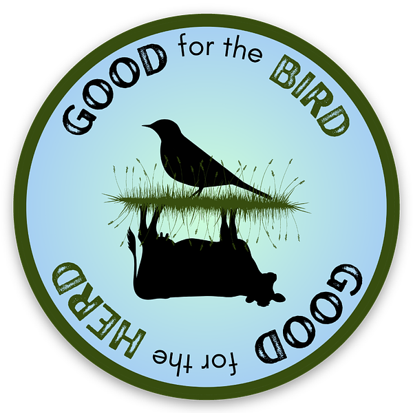 Circle stickers