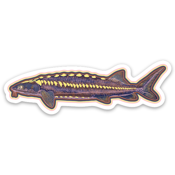 Die cut stickers