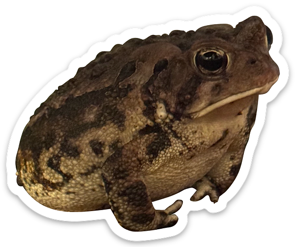 Die cut stickers