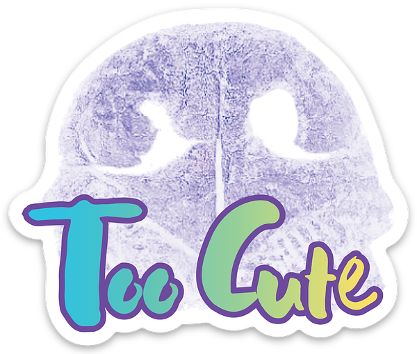 Die cut stickers