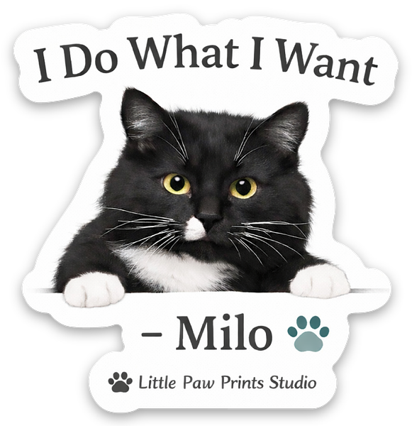 Die cut stickers