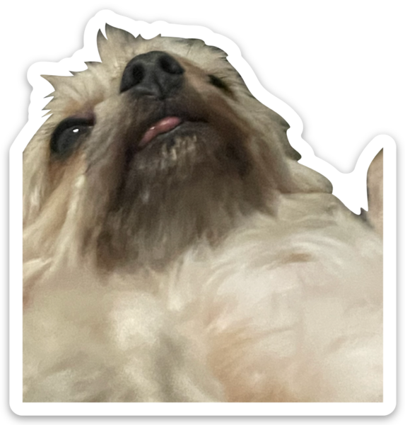 Die cut stickers