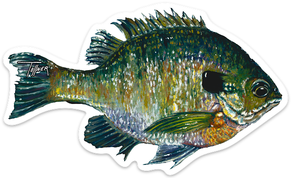 Die cut stickers