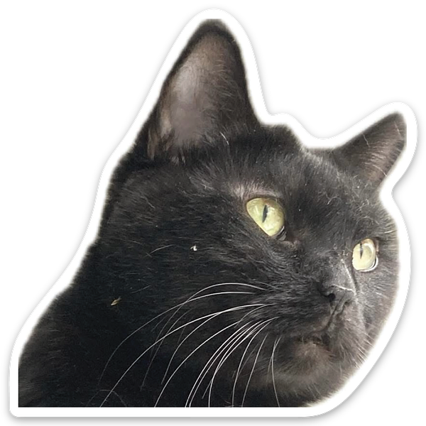Sticker packs - 6
