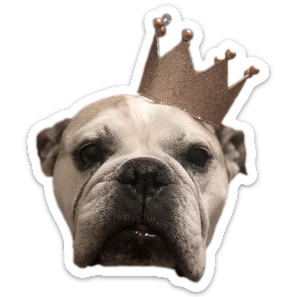 Uitgesneden stickers