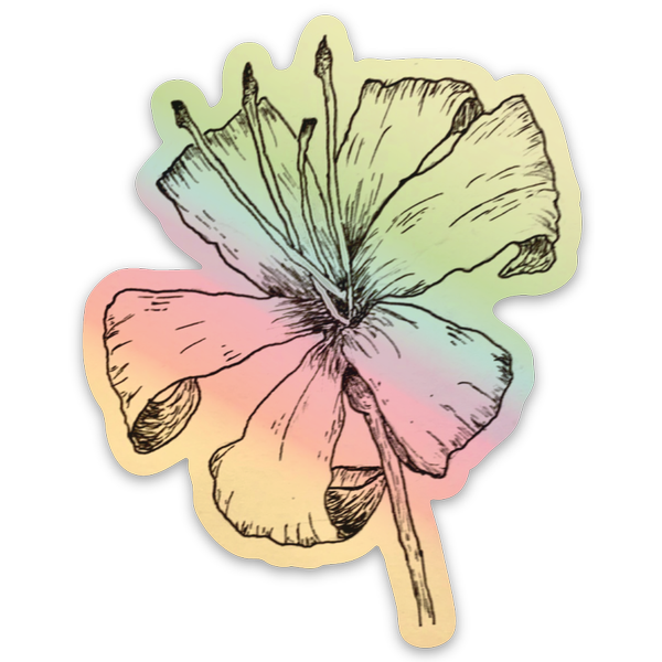 Adesivi olografici
