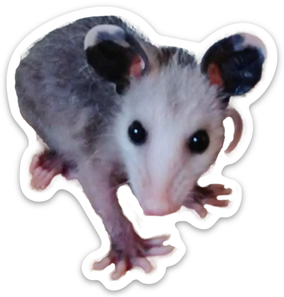 Die cut stickers