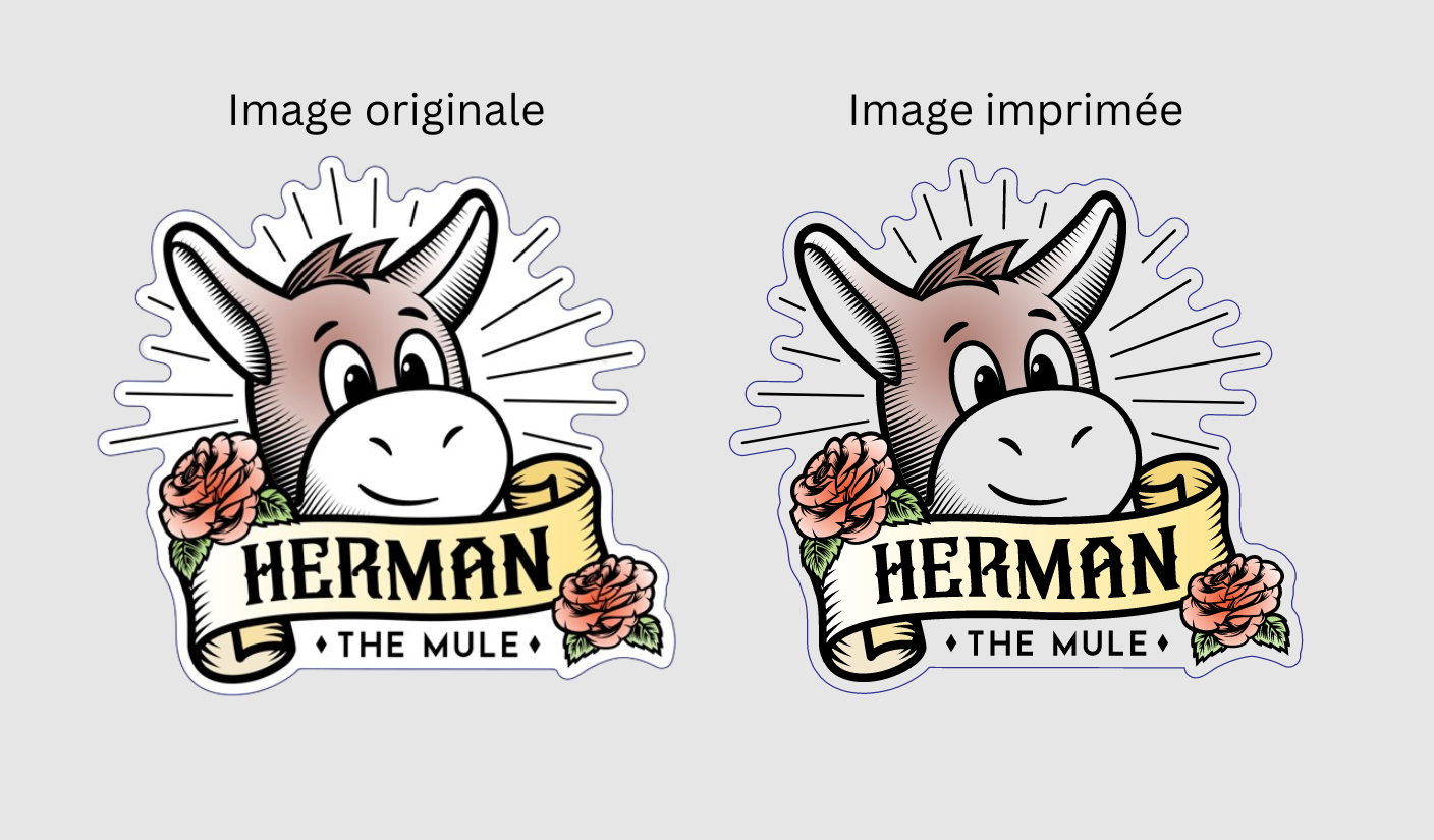 Différences dans les designs de tatouages temporaires lors de l'utilisation d'encre blanche