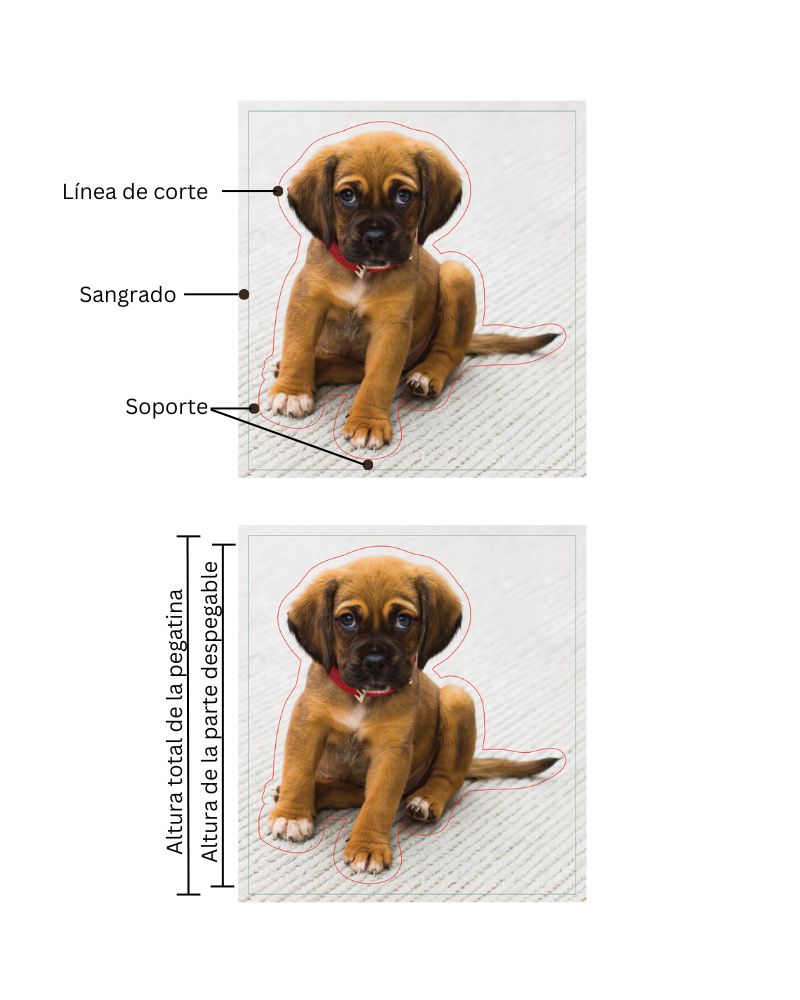 imagen de un cachorro que muestra el reverso de la pegatina, la línea de corte y el sangrado. Imagen del cachorro que muestra la altura de la pegatina despegable frente a la altura total de la pegatina.