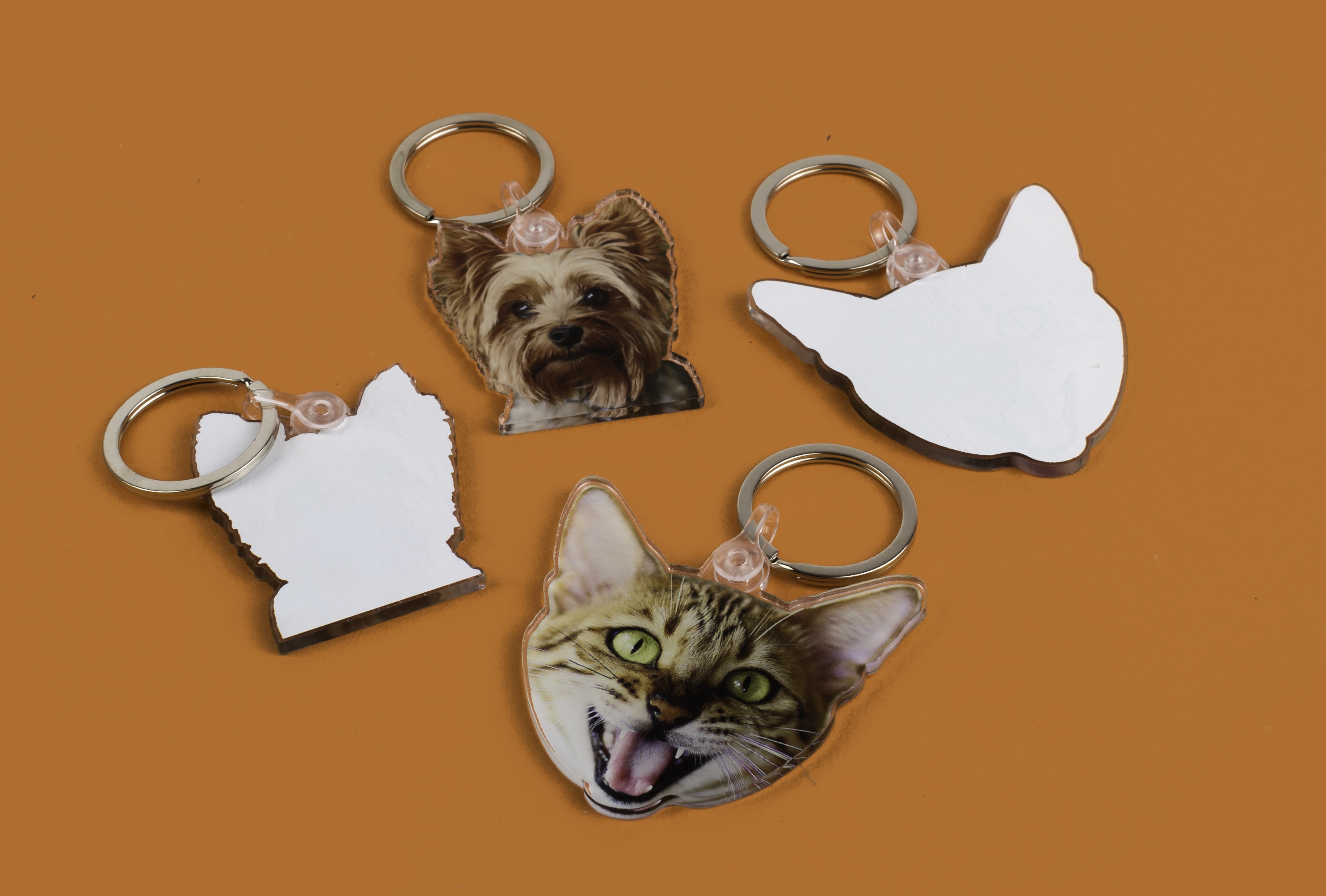 llaveros de perro y gato que muestran la imagen de un perro y un gato en el frente y un reverso blanco