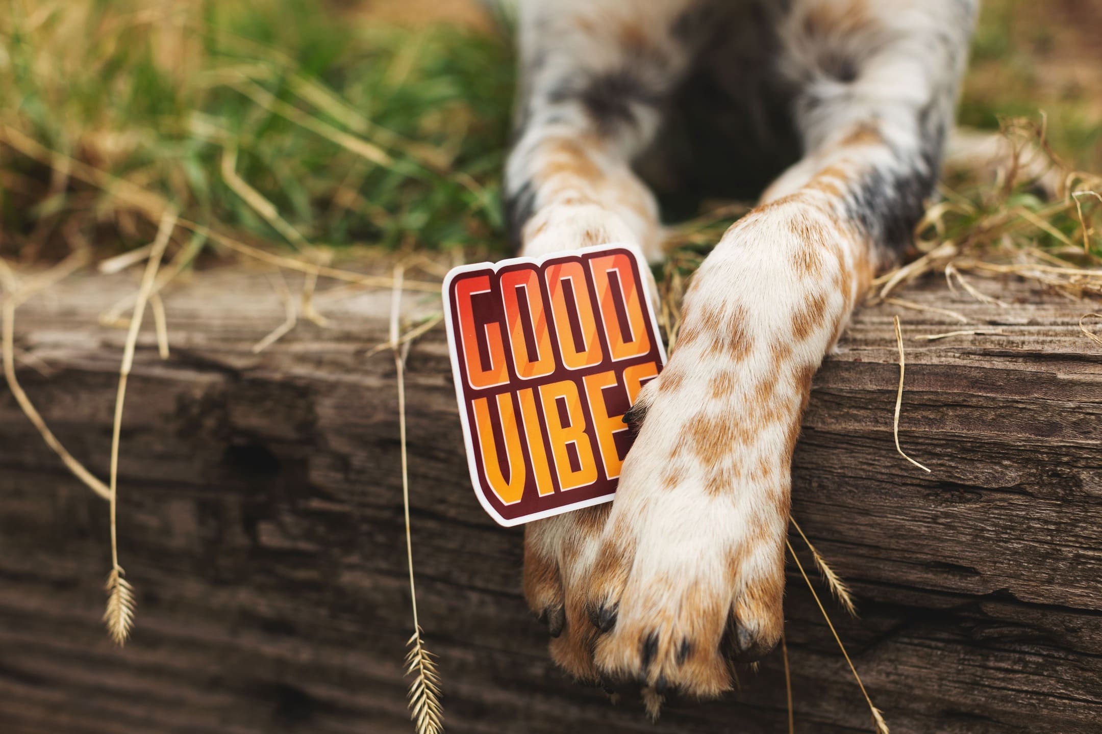 custom typography sticker design trend