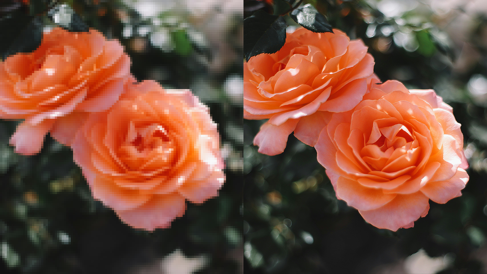 baja-resolucion-a-alta-resolucion