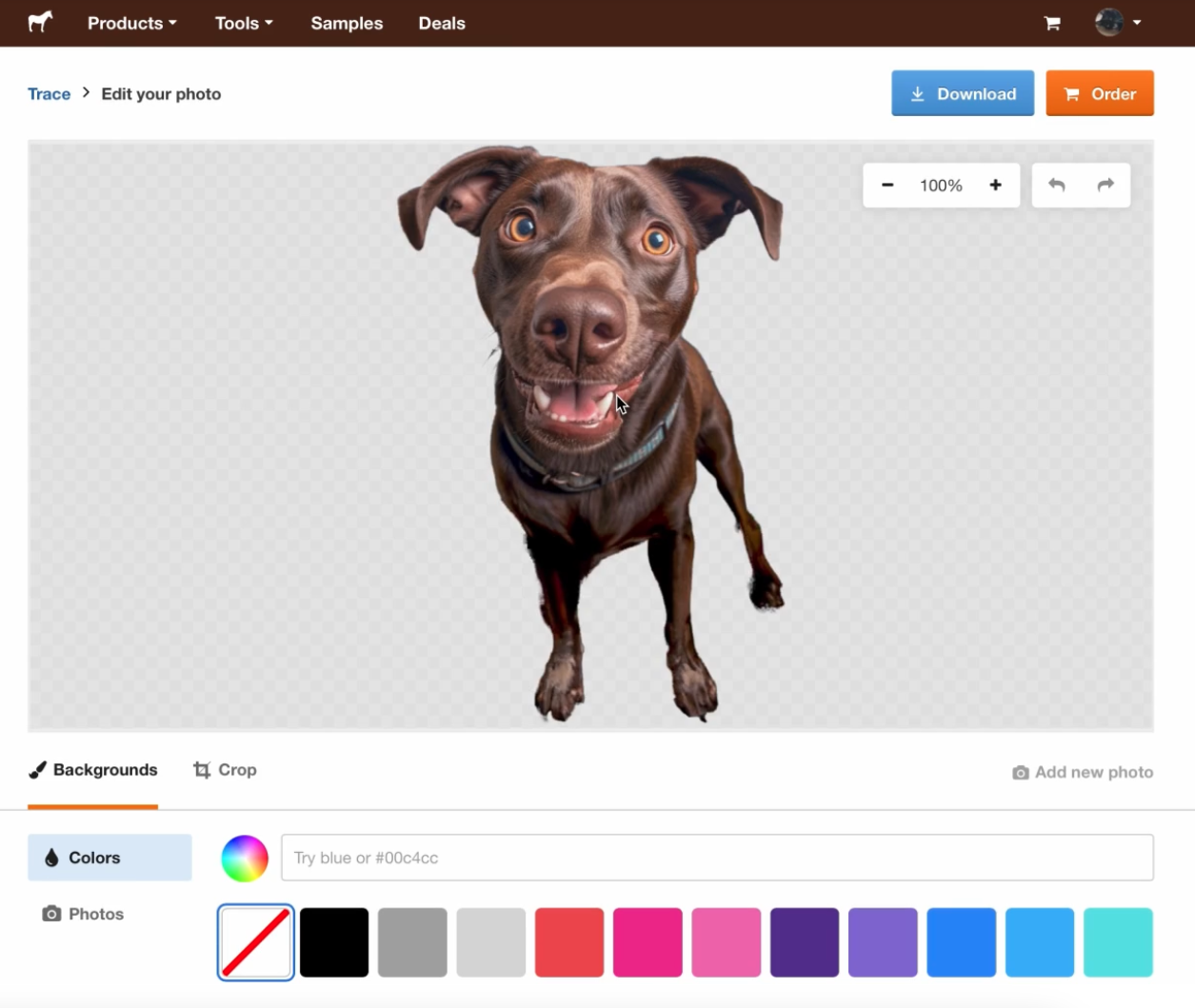 trace eliminó el fondo de la foto del perro