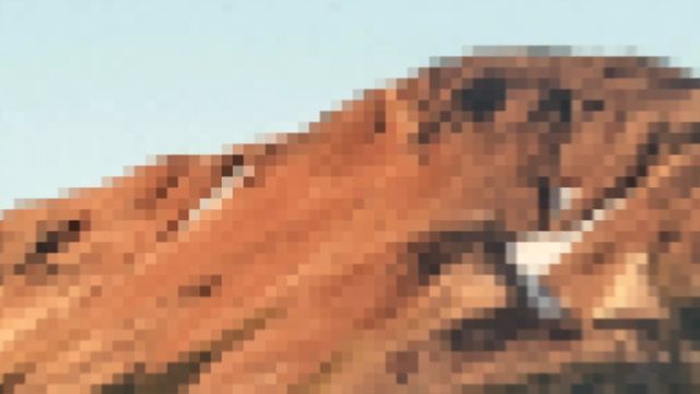 closeup of the pixels in an image