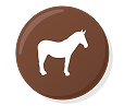 Buttons