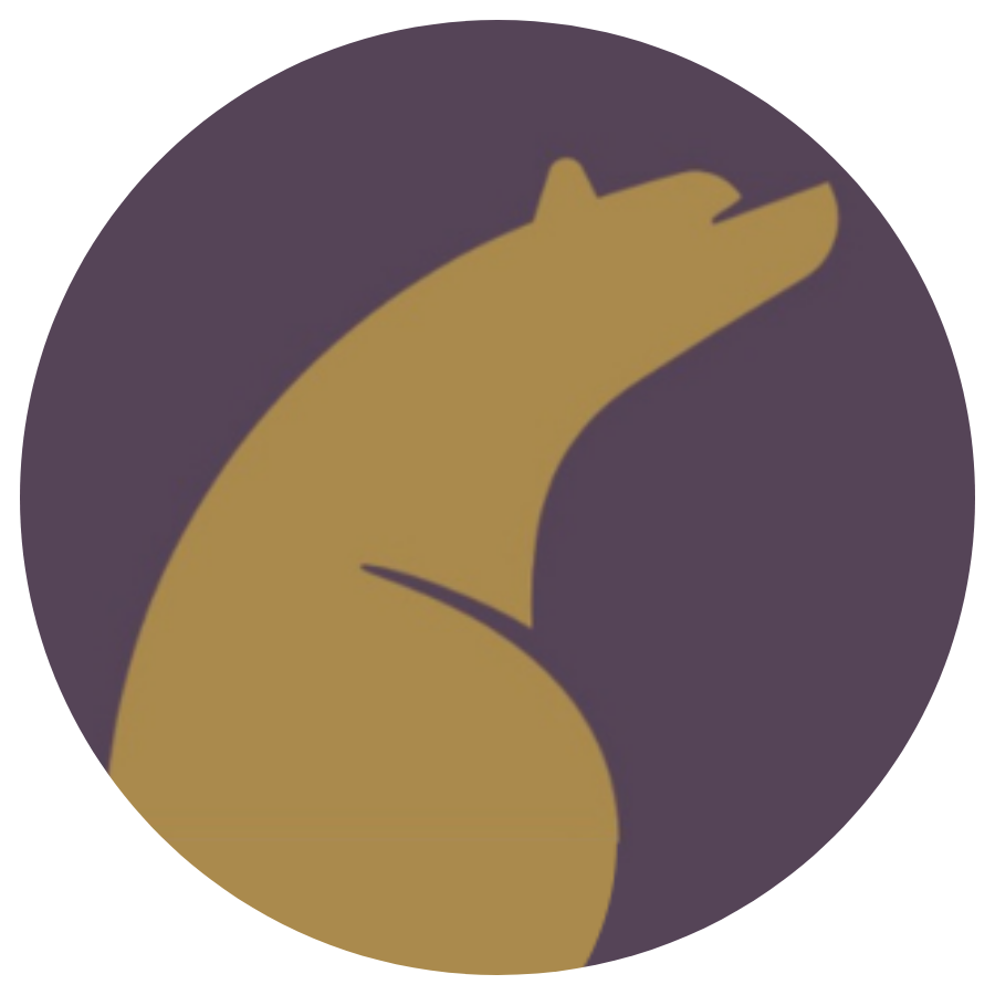 Elevated Bear